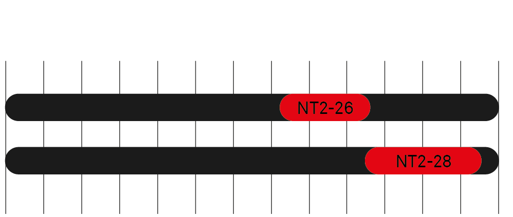 NT2 Table graph